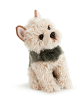 Yorkshire Terrier Small